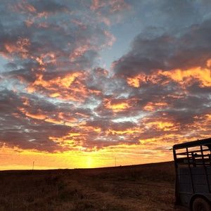 Meet your Posher, Dawn